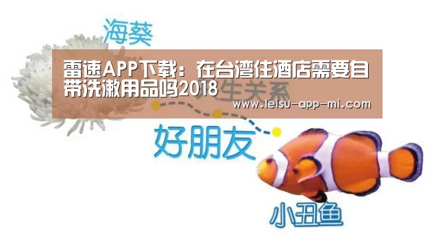 体育数据APP