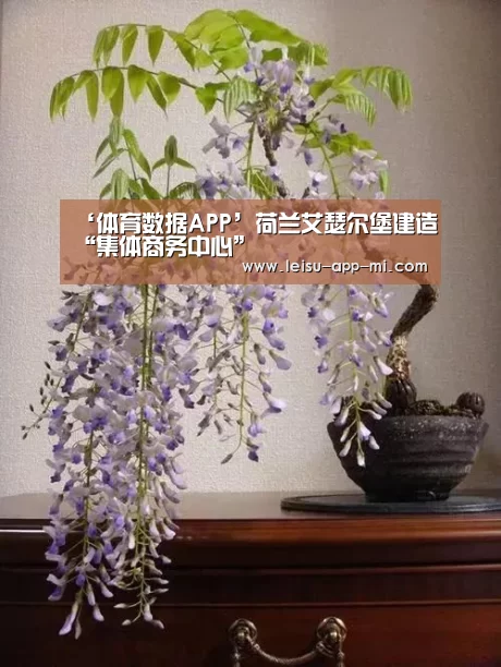 ‘体育数据APP’荷兰艾瑟尔堡建造“集体商务中心”(图1) 雷速客户端